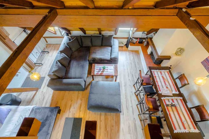 Big Attic Apartment Zurich City