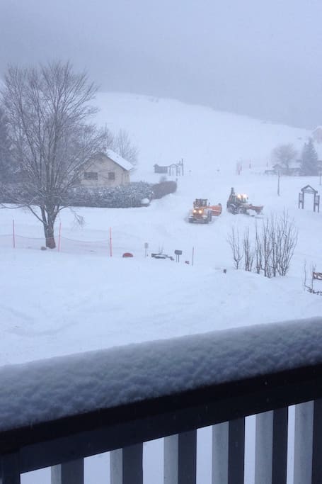Sous la neige