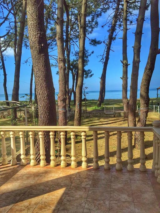 view from veranda