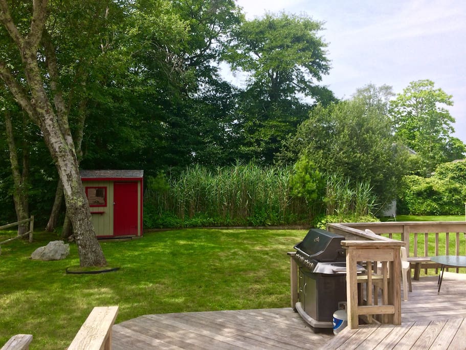 Backyard for relaxing with large deck and grill. Guests will have access to the shed with beach essentials