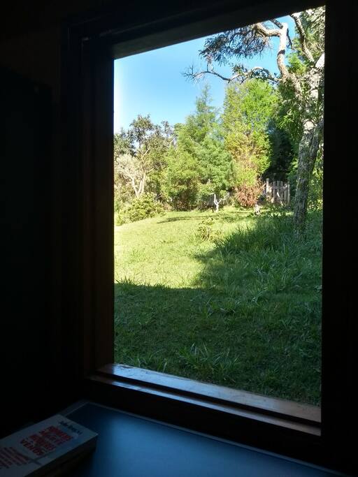 vista da janela da escrivaninha! é o som dos pássaros! a paz da natureza!