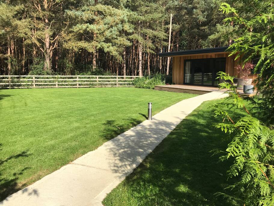 Garden area