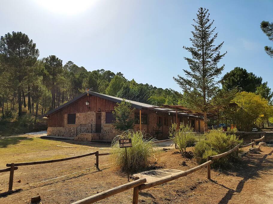 CASA