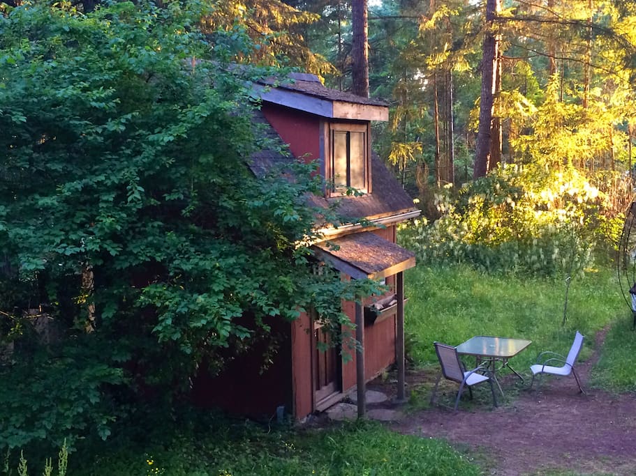 Enjoy the evening light through the trees.
