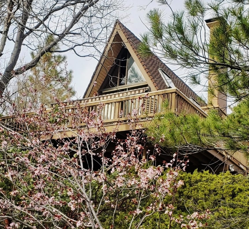 An A-frame cabin is nestled among trees, framed by blossoming pink flowers. The wooden balcony extends from the upper level, showcasing the cabin's distinctive architectural style and inviting natural surroundings.