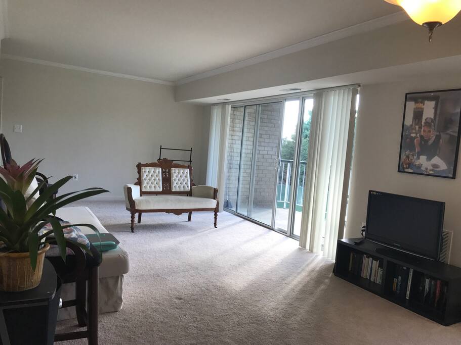 Spacious living room