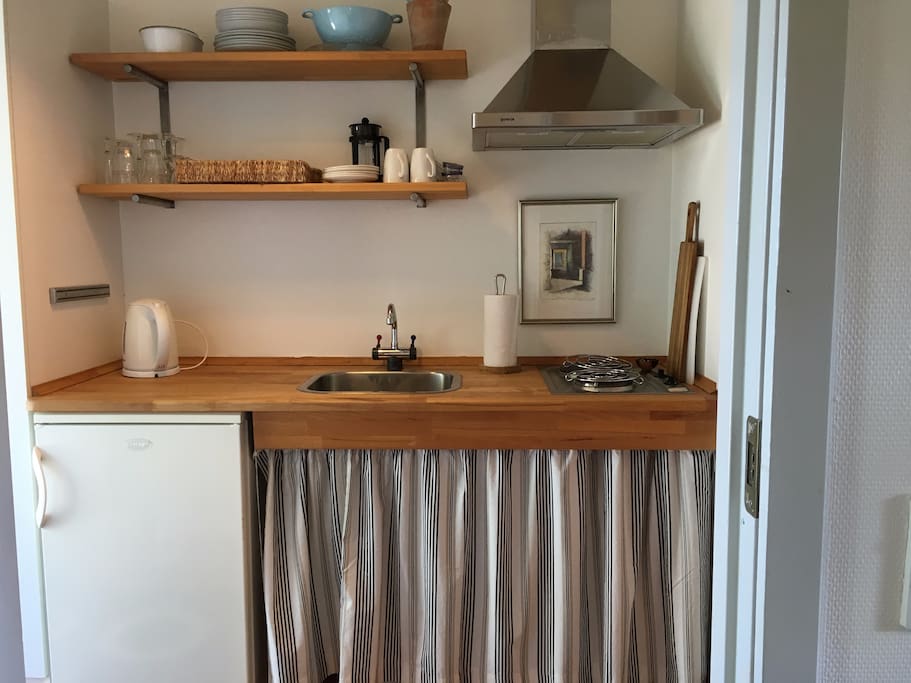Køkken med to kågeplader og køleskab.