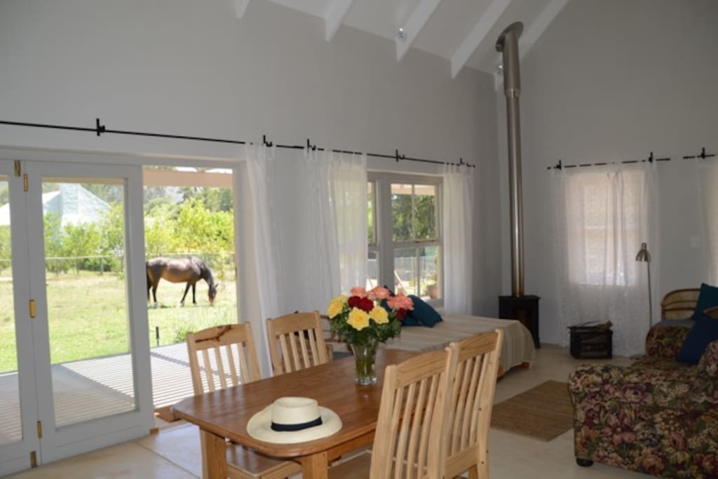 View to garden with visiting Pony