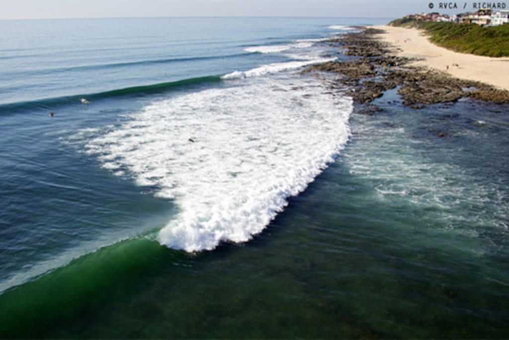 JBay Surf