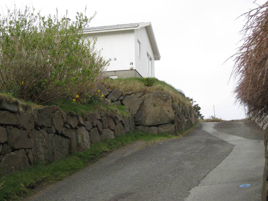 Driveway
