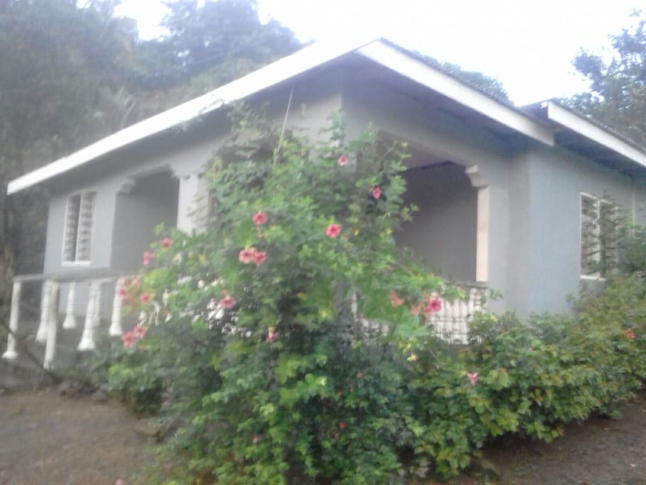 Front of homestay