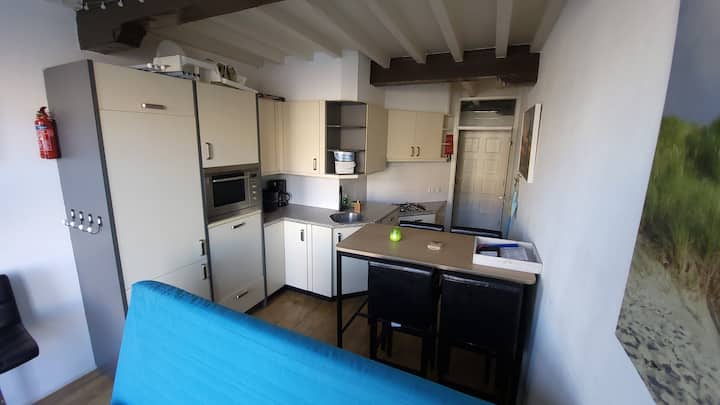 Segunda sala de estar / cocina (esta habitación también se puede utilizar como dormitorio adicional, sofá cama doble con pisos de listones y colchones). La cocina está totalmente equipada (lavavajillas/microondas combinado/congelador/nevera/4 quemadores para cocinar a gas).