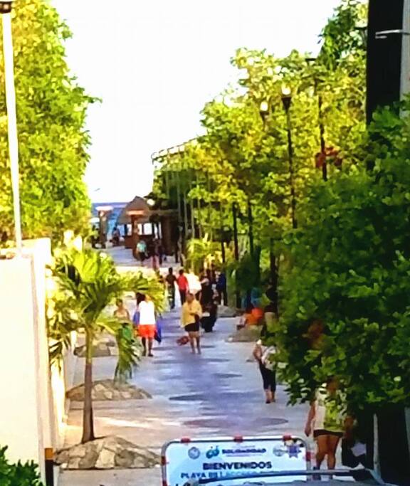 Beach Path view from apartment building entrance.