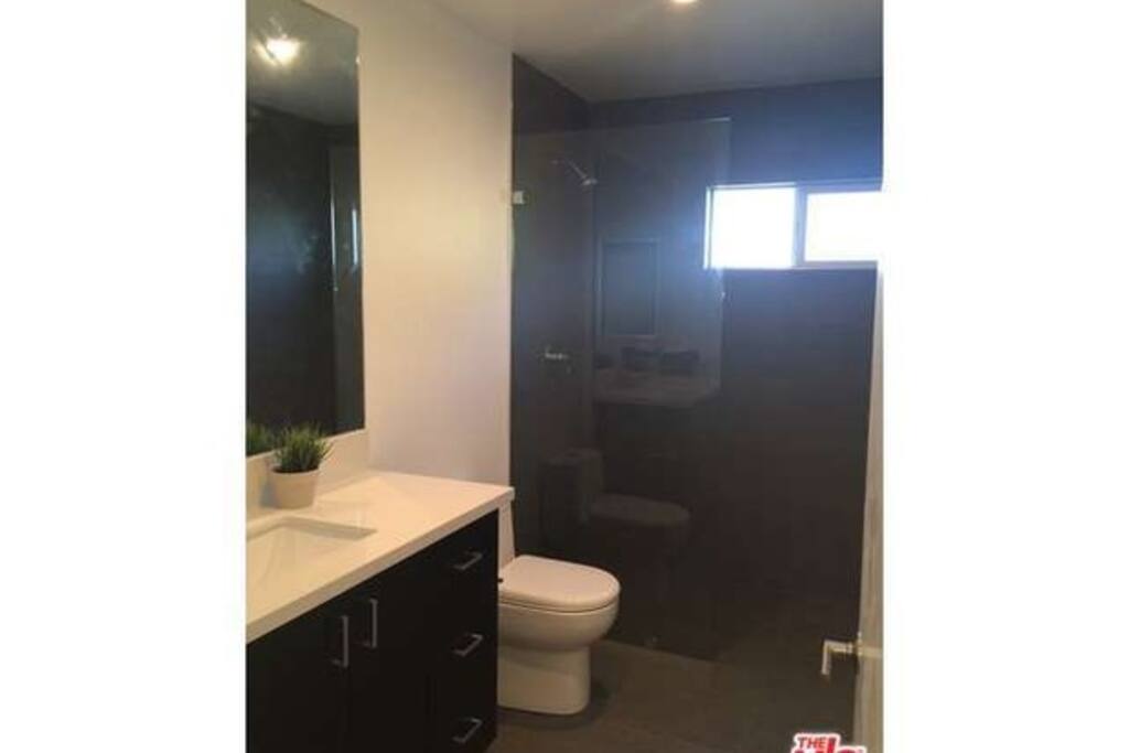 Walk in shower in master bathroom