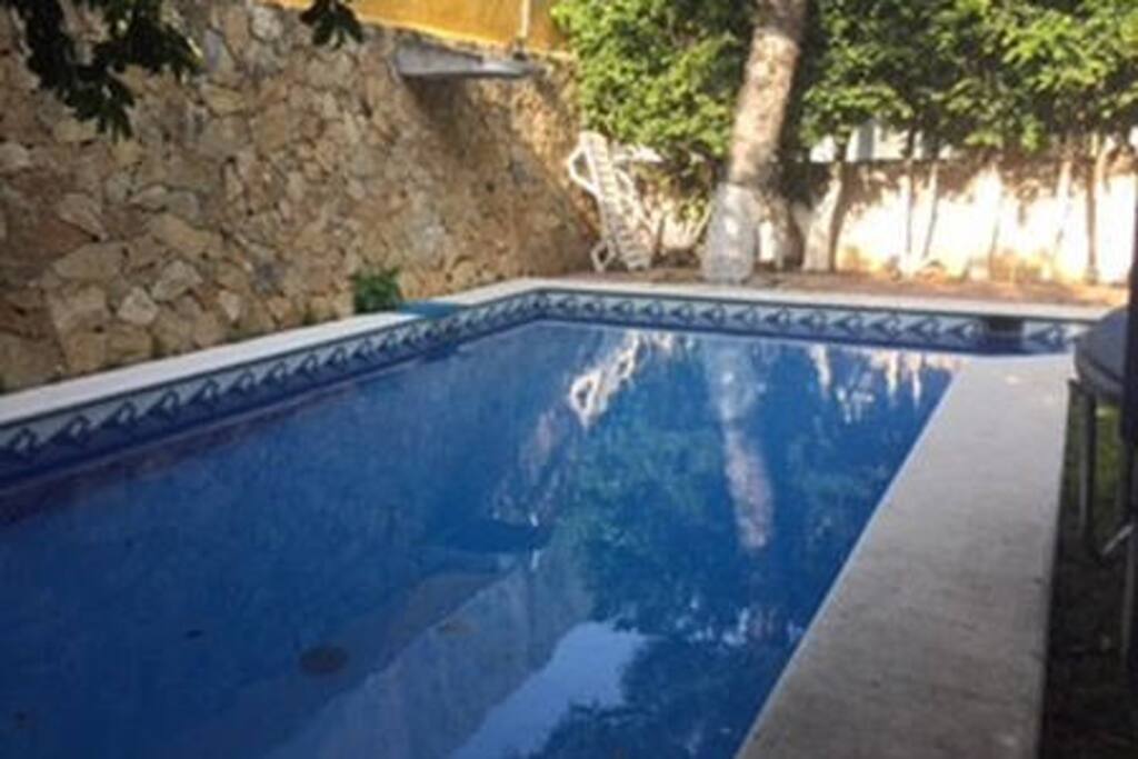 tuxtla gutierrez mature dating site Latino dating site - meet latino singles on amigoscom meet latino singles - sign up today to browse single latino women and single latino men - browse single latino pics free. tuxtla gutierrez mature dating site Latino dating site - meet latino singles on amigoscom meet latino singles - sign up today to browse single latino women and single latino men - browse single latino pics free.