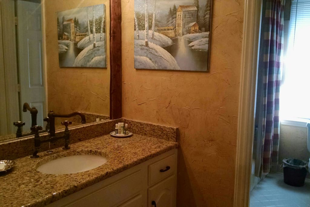 Downstairs bathroom and vanity