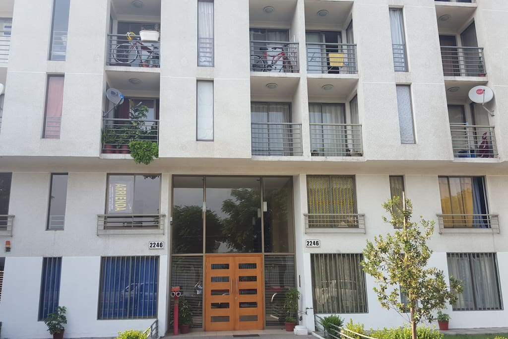 frontal view