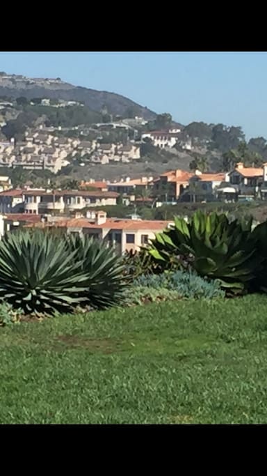 My house is 2/3 up the hill on the right side in old Monarch Terrace.