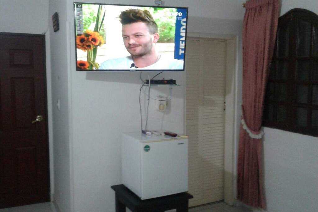 Televisor 43" con tv cable incluido