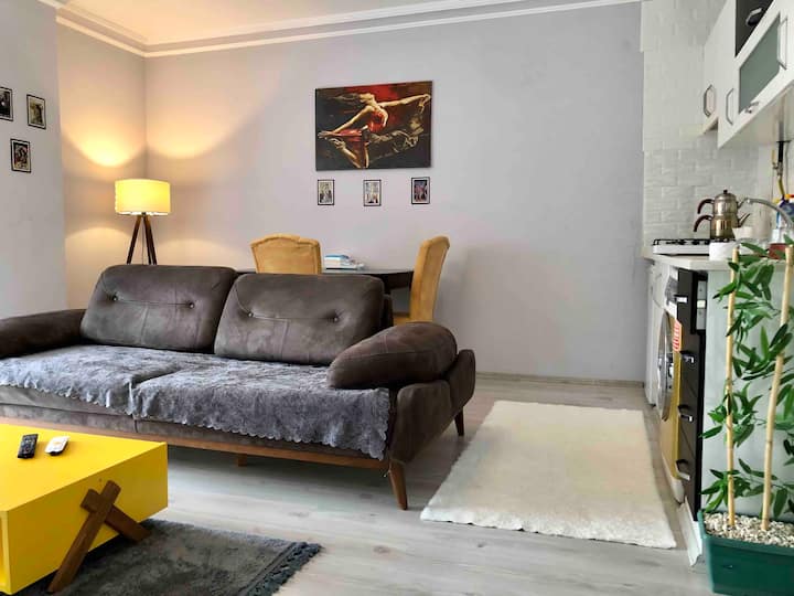 Samsun Atakum' da 1+1 apartment, great rental