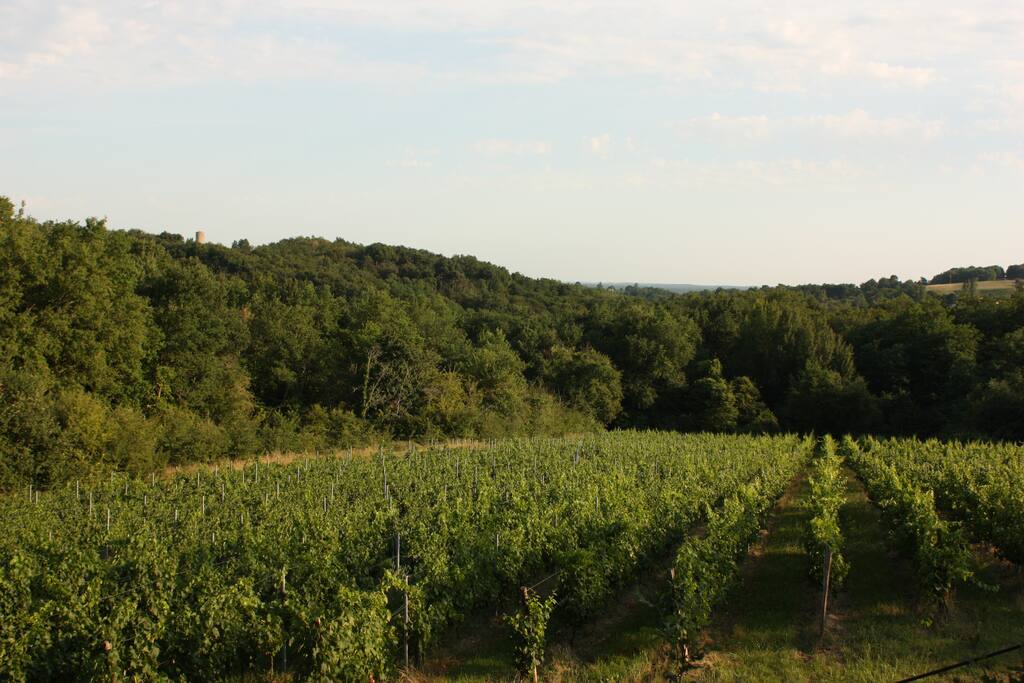 Vue depuis la terrrasse