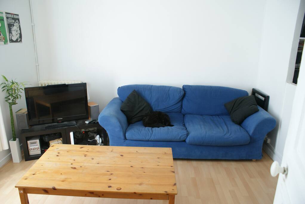 Grand salon avec chat