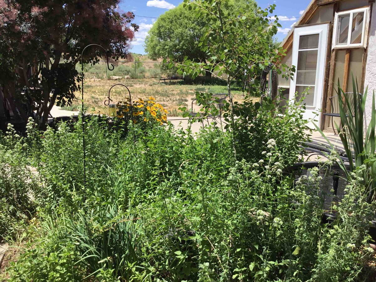 Lush greenery fills the foreground, featuring various plants and flowers that add a vibrant touch to the outdoor space. The background reveals an open area with trees and a pathway leading to a nearby structure, set against a blue sky with scattered clouds.