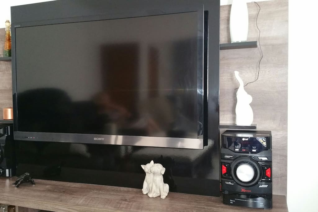 Flat Screen Sony TV 48". Bring your Chromecast to watch YouTube and connect to your Netflix account.