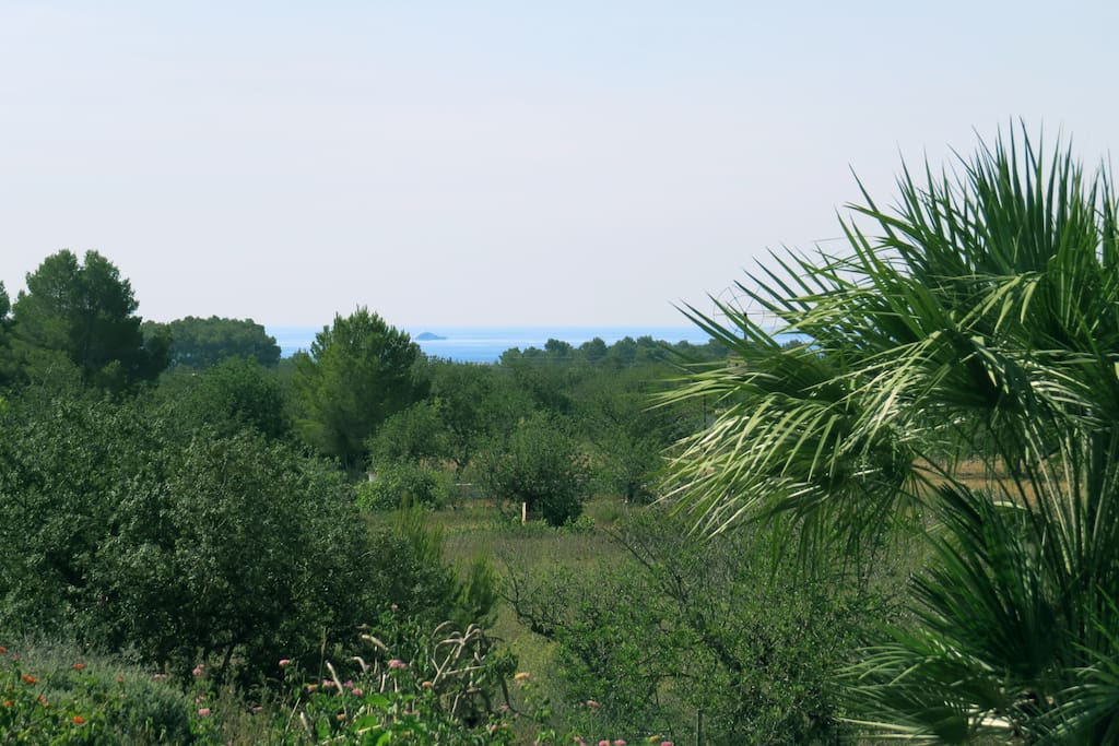 Sea views