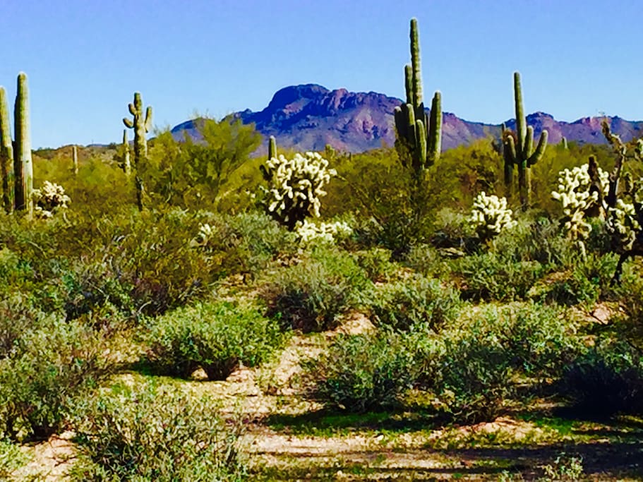 Vulture Mountain,
Wickenburg, AZ