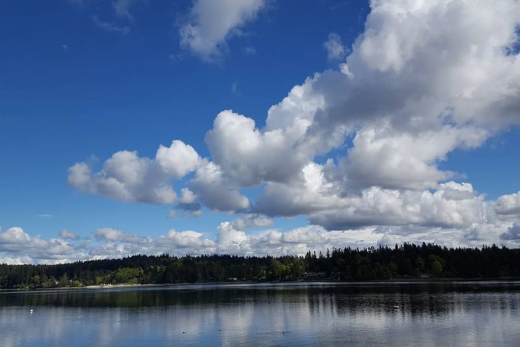 View of the Puget Sound from the property