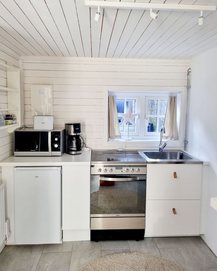 Charming guest house in lush garden in Åhus