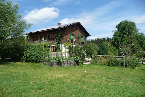 Top performing Airbnb: Apartment on a horse farm in a secluded location in Ostallgäu