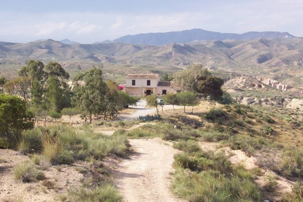 Property view