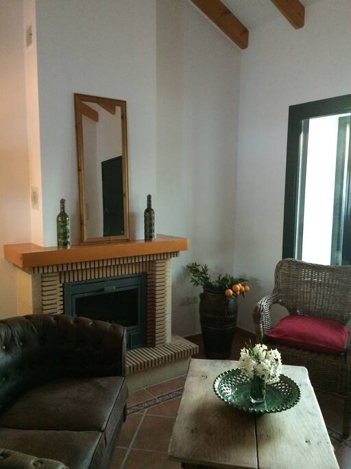 Beautifully furnished living room