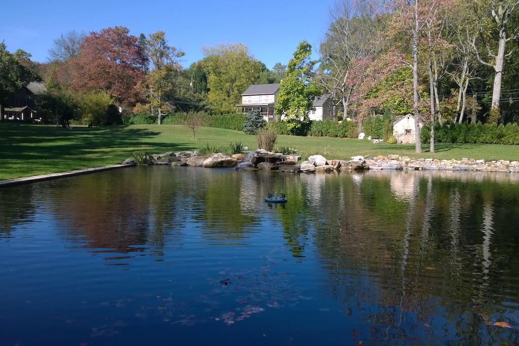 Pool/Pond