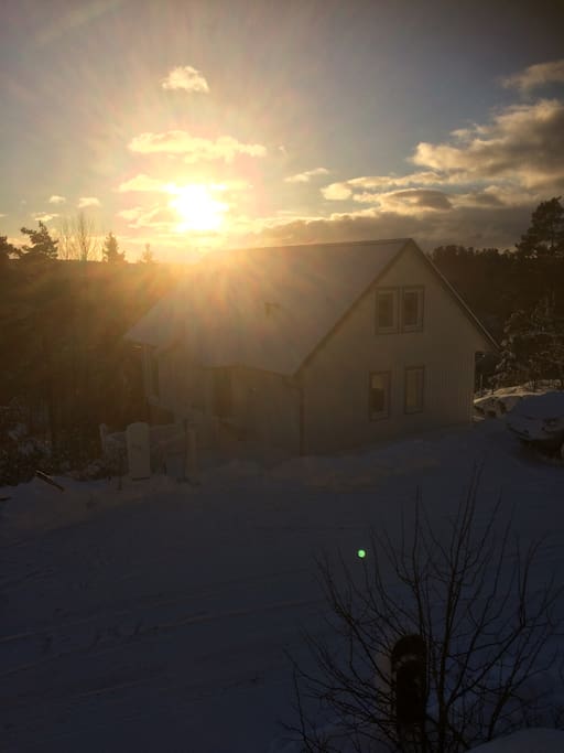 Sunset