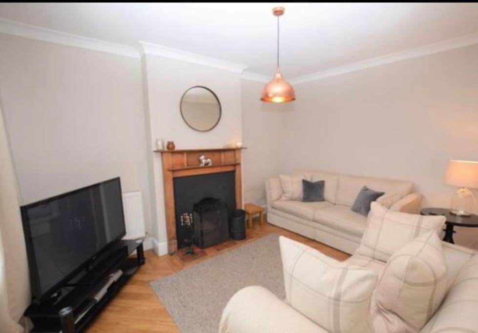Living room with coal fire • TV