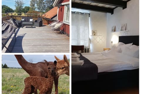 Balcony, alpacas, 1.5h Stockholm, bed made