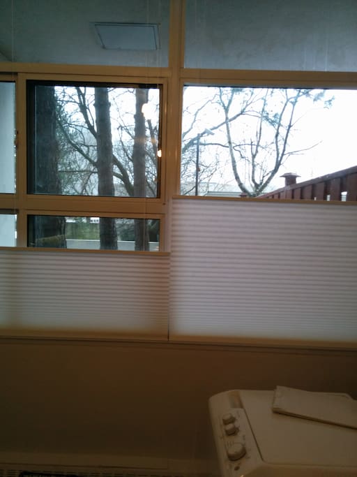 All windows face beautiful trees
