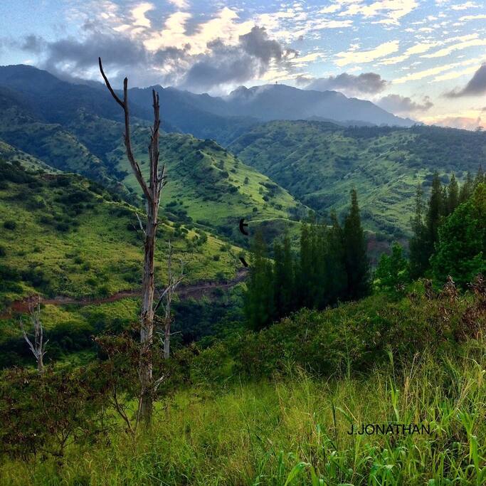 A hike up Mount Kaala in the Waianae Mountain range on Oahu's s north side is a must for the nature lover to experience the true beauty of Hawaii. The summit of Mount Kaala, Oahu's tallest peak, sits 4,010 feet above sea level on the northern most end of the island