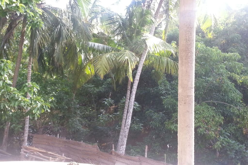 View from the balcony