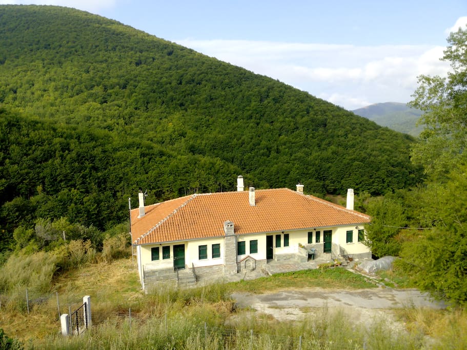 The house is on the right