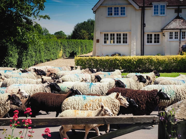 Burton upon Trent Holiday Rentals & Homes England, United Kingdom