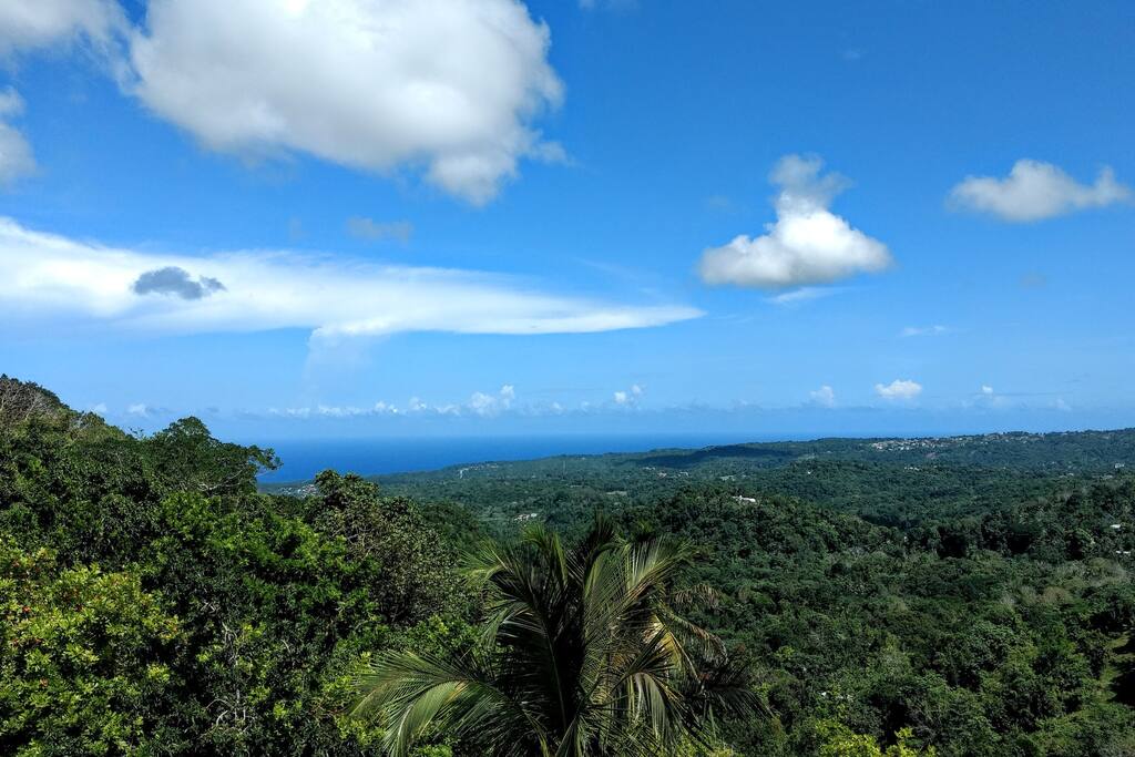 View from The Lion House