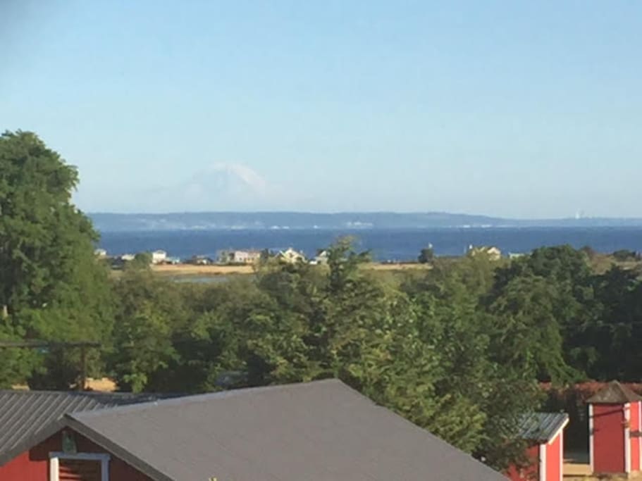 View from the farm