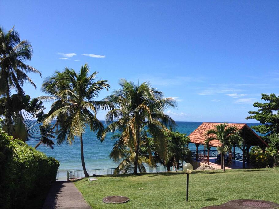 le jardin et son carbet au bord de mer