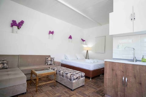 Studio apartment in a natural garden.