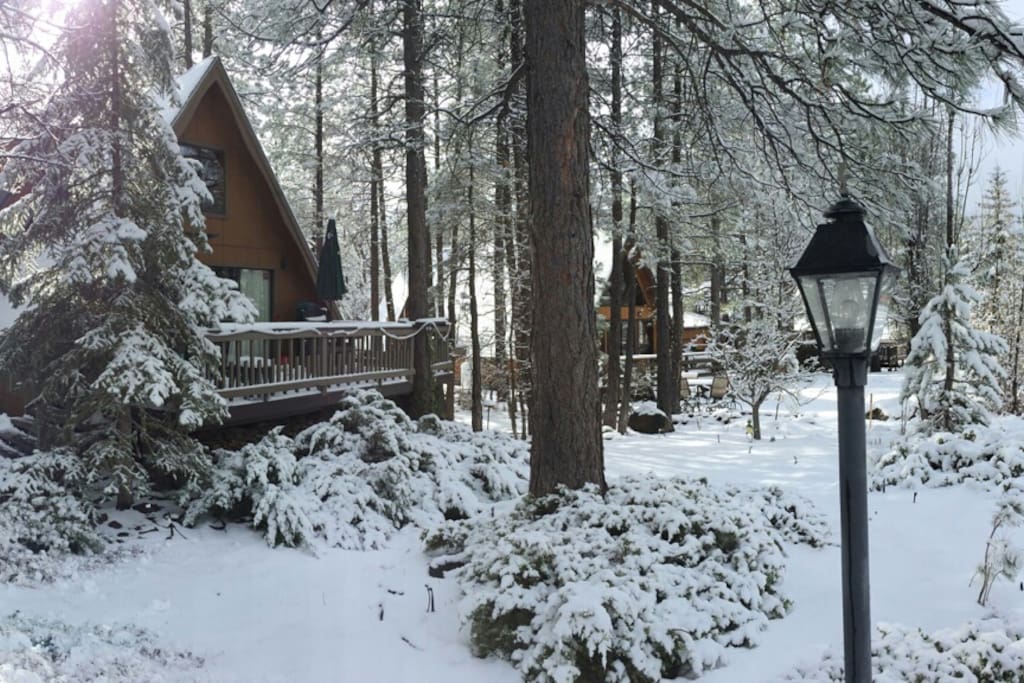 The cabin in December