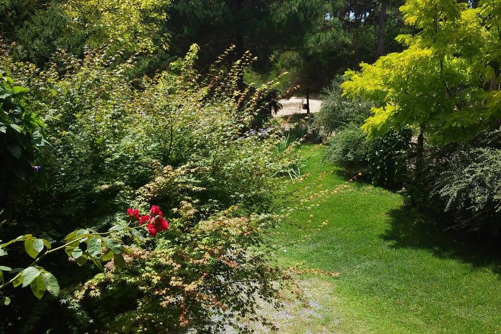 Jardin